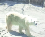 EartHinosan's profile picture. EXILE 等。 良かったら、返事下さい。EXILE family好き！