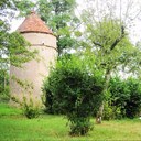 Le Douarin - @le_wan - Twitter