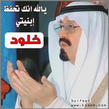 wardkhlod's profile picture. 