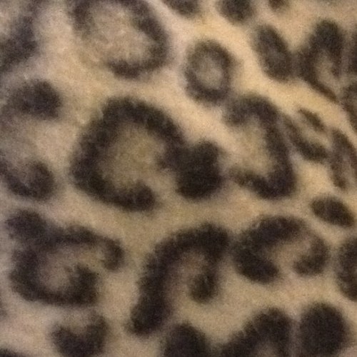 I like to tweet but never know what to tweet about?!? :D