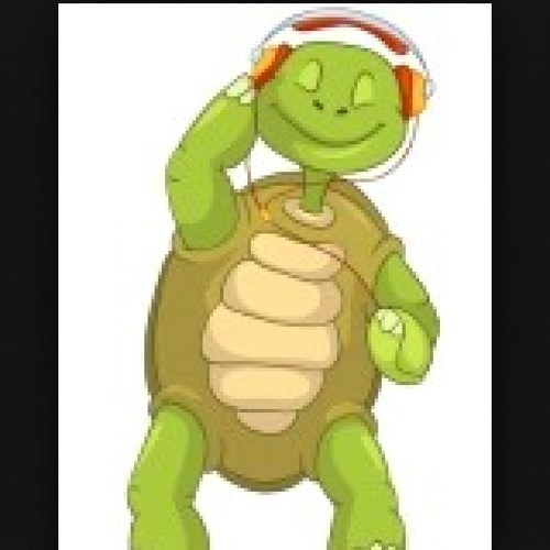 turtlepower85's profile picture. 