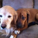 Tyler Baumann - @racingtyler2 - Twitter