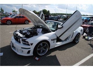 InaifS's profile picture. I LOVE MY MUSTANG