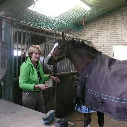 #minbuza #cultuur#mfa#photo#embassy#vlaggen#paarden#nos#mirthe