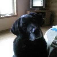 Arthur Brown (@artabrownbrown) 's Twitter Profile