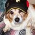 kaos dog- Bill Lewin (@dogkaos) Twitter profile photo kaos dog- Bill Lewin (@dogkaos) Twitter profile photo