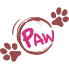 PawfectionSG's profile picture. For the (budget conscious) perfectionists who want also the best for their pets.