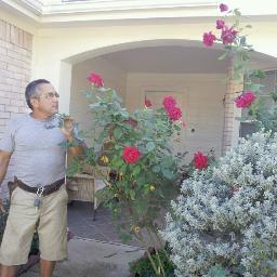 leliscarlos2000's profile picture. He seguido el mismo camino aunque las rutas sean cada vez mas complicadas