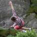 Carl-Magnus Wall (@calle_w) Twitter profile photo
