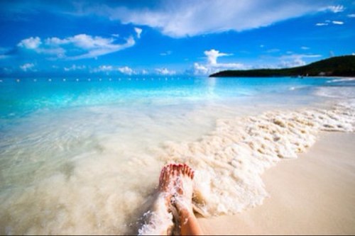 mvaldes0224's profile picture. 