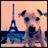 xalo952's profile image