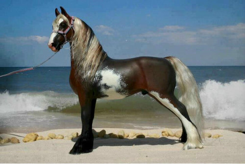 nonoo0808's profile picture. 