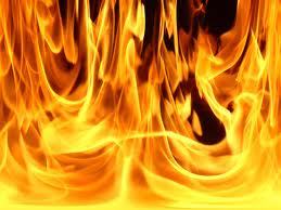 FireNinja199's profile picture. 