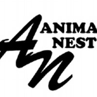 ANIMAL NEST (@animalnest_live) 's Twitter Profile