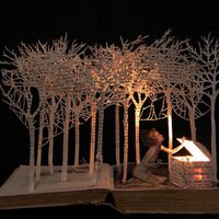 Alison Warr (@alisonwarr) 's Twitter Profile