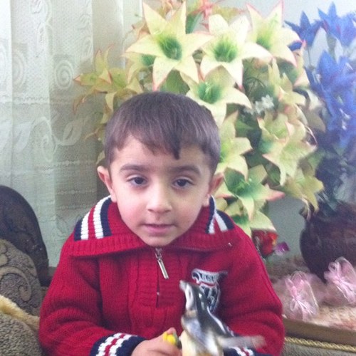 brkatmajed's profile picture. 