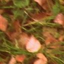 Paula Otto - @LeonPollmann - Twitter