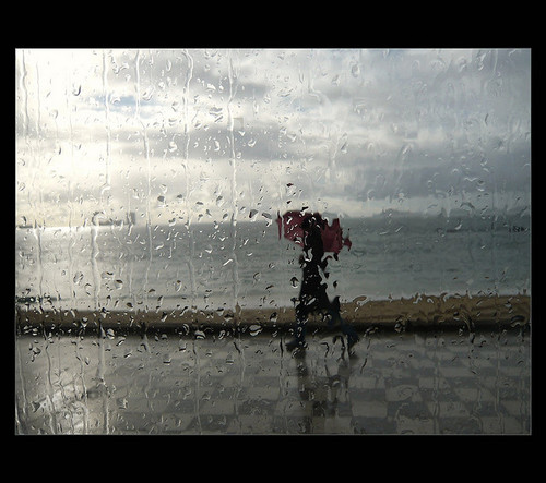 Nacida donde la lluvia es un arte, busco mercados donde el  #marketingdigital sea importante para la #internacionalización de las empresas