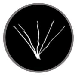 PlasticString's profile picture. The Underground District of Electronic Music