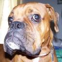 Jason Mandel - @jracer88 - Twitter