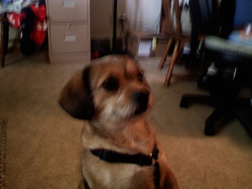 John7679's profile picture. Graduate of The Ohio State University(class of 1974), US Navy veteran,  football-crazed, retired firefighter.