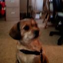 John Webster - @John7679 - Twitter