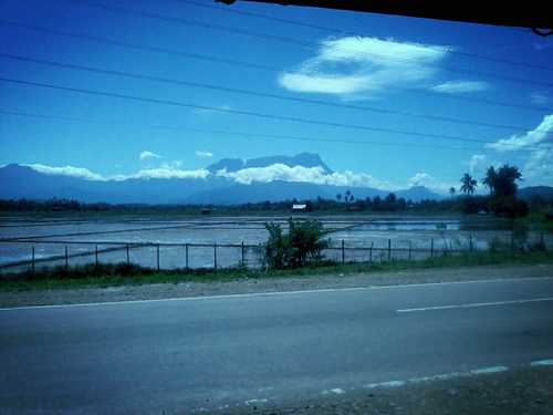 arbina14's profile picture. 