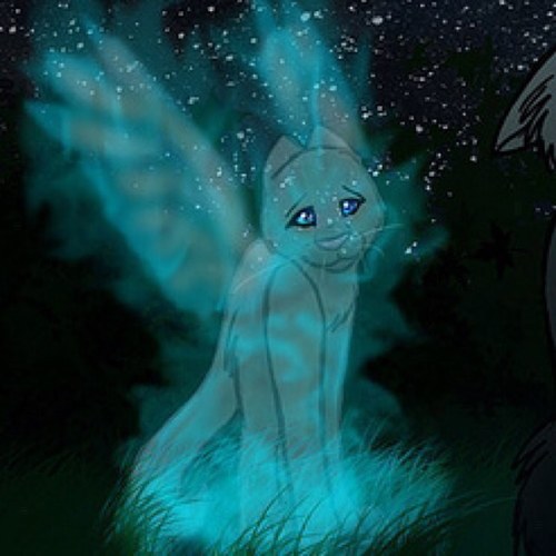 ZeusDawnsCat's profile picture. I was a kit when i died now i hunt with starclan...i can still come back but...just half alive ...