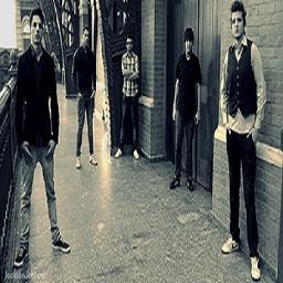 Integrantes:
@Pingu_heyarpia-Vocal/Guitar 
@Wewe777 -Berros/Bass 
@hehevitao -Drums 
 @cazarotoo -Guitar  
 #Fee Maia -Synths