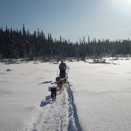 Yukon wilderness vacations. Family owned & operated. Since 1975.

Dog sledding, hiking with huskies, boating, canoeing & cabin-based vacations