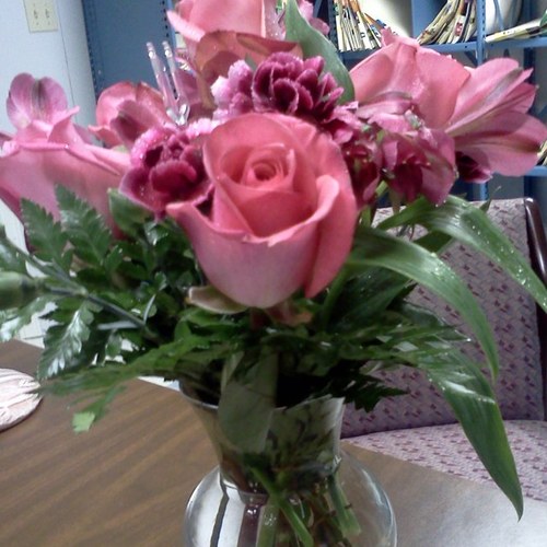 xraytech1984's profile picture. 