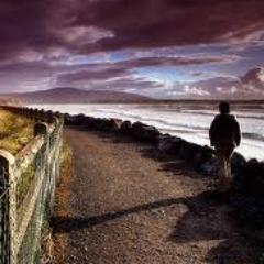 WhatsOnInSligo's profile picture. 