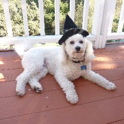 VldempseyD's profile picture. 