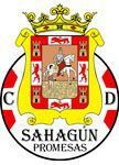 Sahagun Promesas