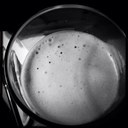 Scott Sundquist  - @scott_sundquist - Twitter