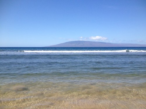 jriekenberg's profile picture. 