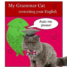 Learn English with My Grammar Cat  nearly 5000 likes on Facebook https://t.co/ie89AHMcTM