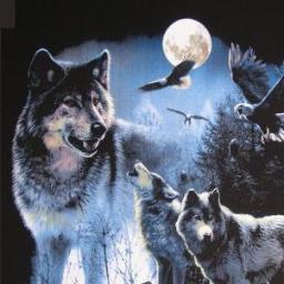 WOUConfessions's profile picture. Want to Confess something about life at WOU?http://t.co/yFaGPKSh it will be posted 100% anonymously on the page!
*Only 140 characters will fit in a tweet!*