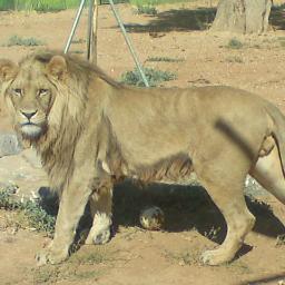 EAggelidou's profile picture. 