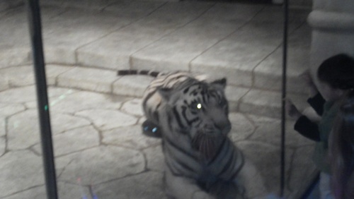 sheck78's profile picture. 