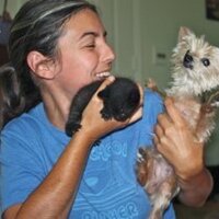 Heidi (@primitiveheidi) 's Twitter Profile