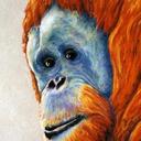 Joseph_O'Brien - @JosephOz2013 - Twitter