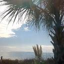 Bev Willis - @GranyBev - Twitter