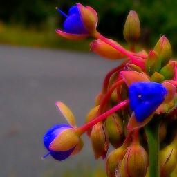 romakj's profile picture. 