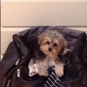 Sylvie Leclerc - @sammie_1993 - Twitter