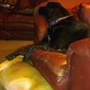 Fran Harvey - @FRANHARVEY - Twitter