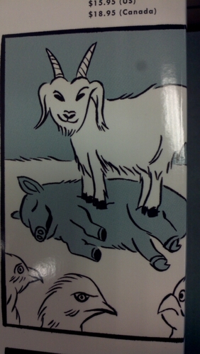 Observer5561's profile picture. Born in 19?? in a cardboard box.