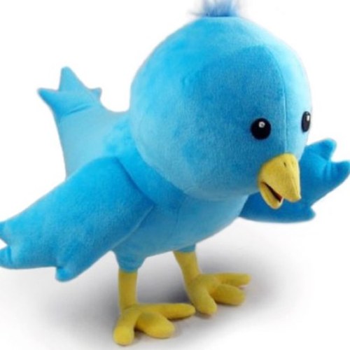 #teamfollowback