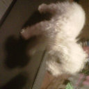 Kelly trapp - @kmtrapp2 - Twitter