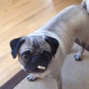 Phillip Sandy - @pjnsandy - Twitter